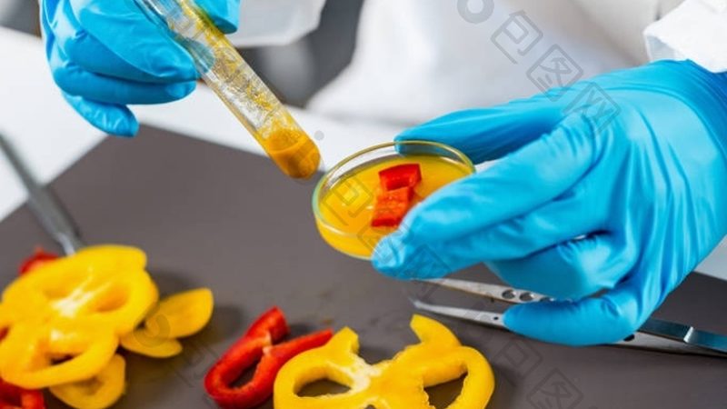 揭秘食品批发代理公司排名背后的秘密**